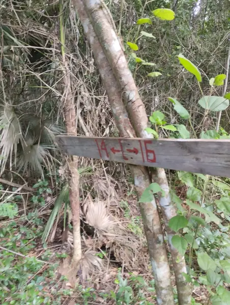 Terreno en venta en Leona Vicario, Puerto Morelos — foto 3 de 10