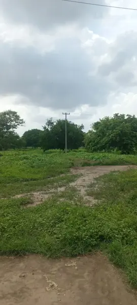 Terreno en venta en El Zacatal, Jamapa — foto 3 de 5