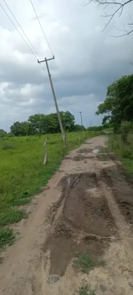 Terreno en venta en El Zacatal, Jamapa — foto 2 de 5