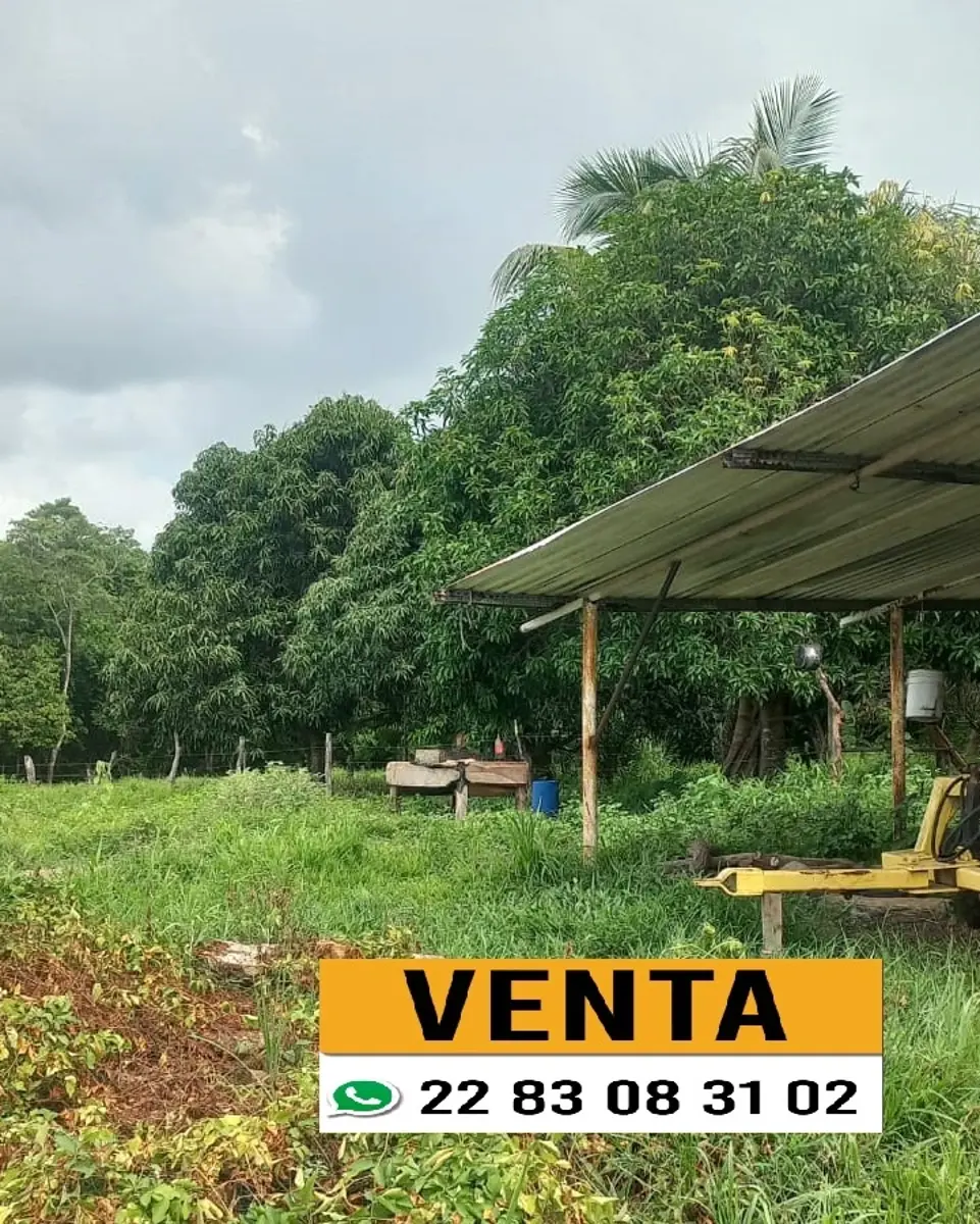Terreno en venta en El Zacatal, Jamapa — foto 1 de 5