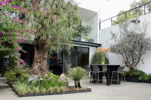 Casa en venta en Tlacopac, Álvaro Obregón — foto 3 de 40