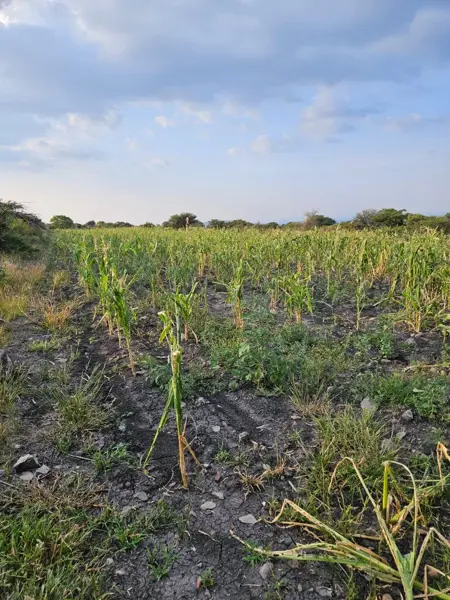 Terreno en venta en Ojo de Agua, San Juan del Río — foto 2 de 4