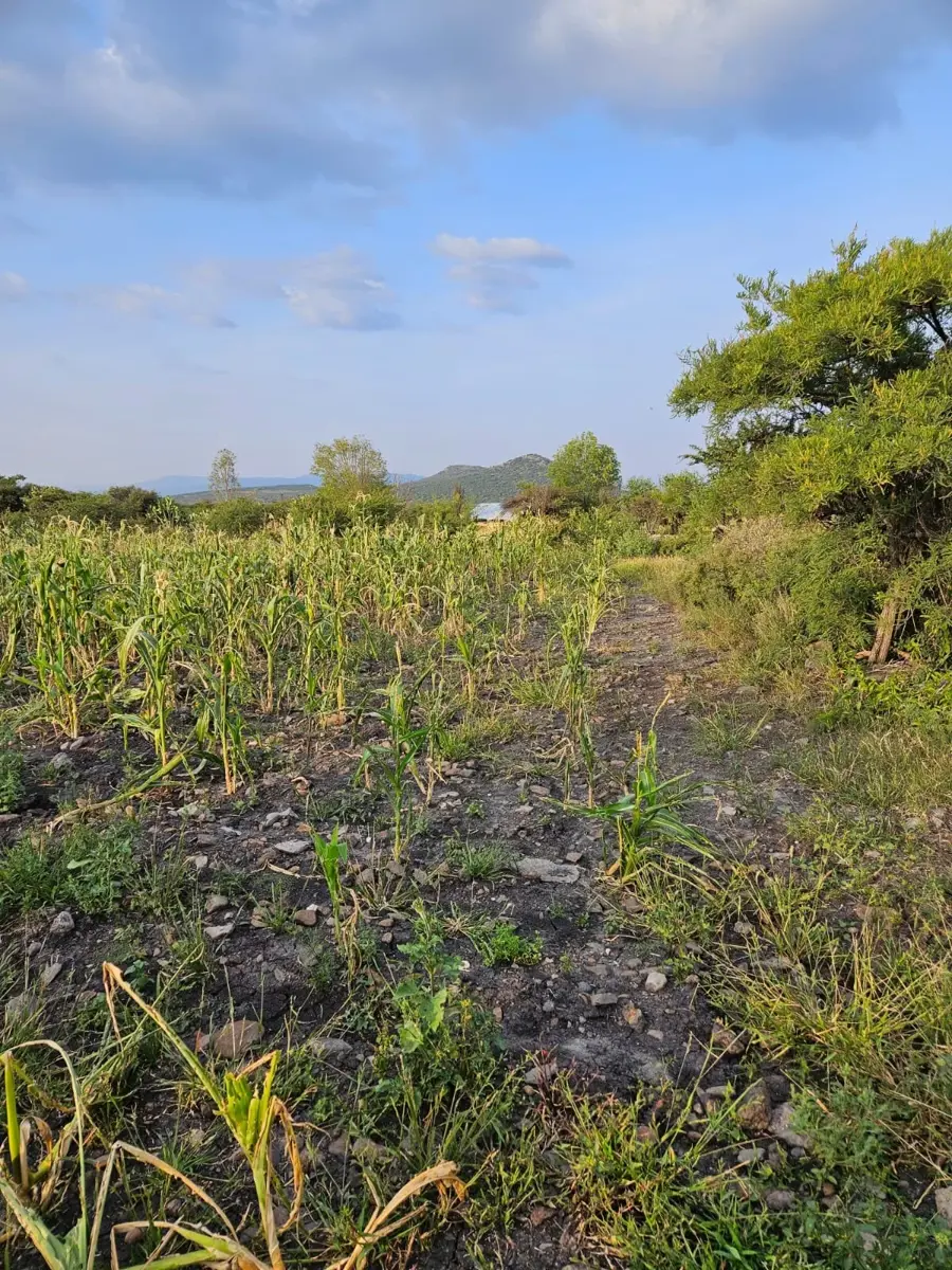 Terreno en venta en Ojo de Agua, San Juan del Río — foto 1 de 4