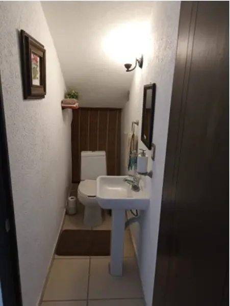 Casa en venta en Campestre San Juan, San Juan del Río — foto 3 de 21