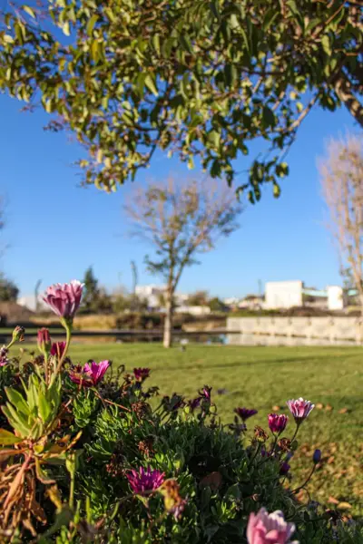 Terreno en venta en Residencial Lagos, Pachuca de Soto — foto 3 de 10