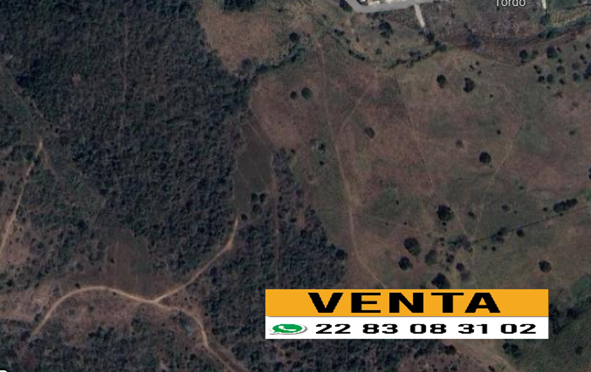 Terreno en venta en Valle Alto, Veracruz