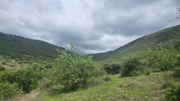Terreno en venta en San José de Guadalupe, San Miguel de Allende — foto 3 de 8