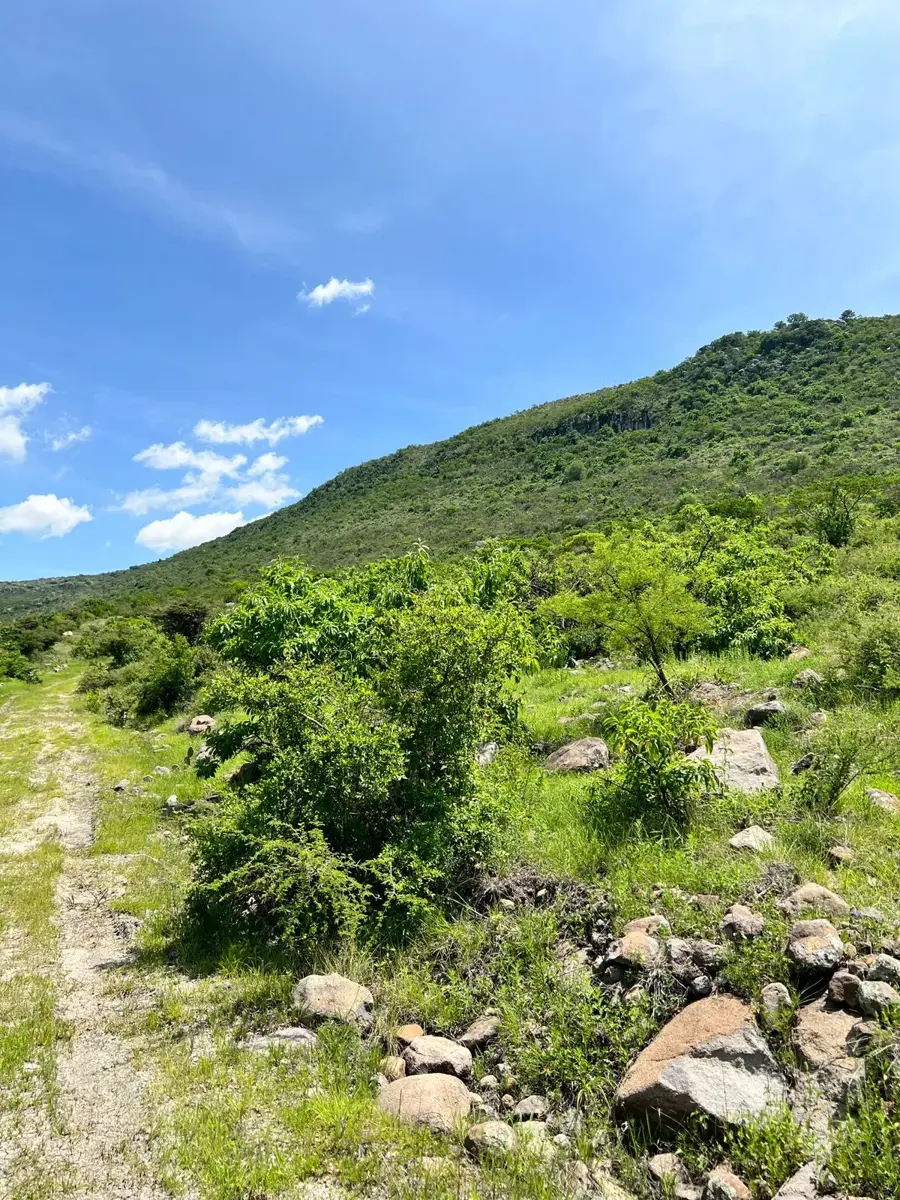 Terreno en venta en San José de Guadalupe, San Miguel de Allende — foto 1 de 8