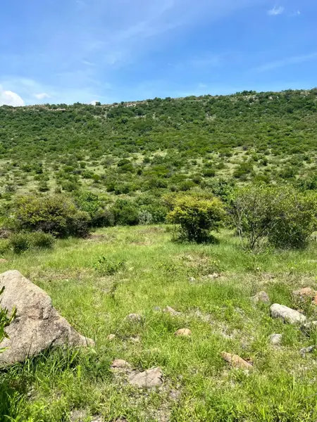 Terreno en venta en San José de Guadalupe, San Miguel de Allende — foto 2 de 8
