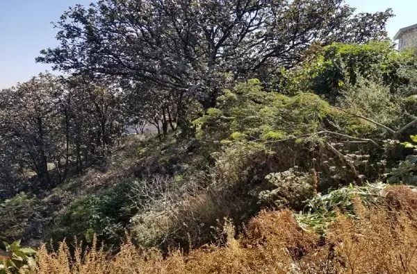 Terreno en venta en El Palomar, Tlajomulco de Zúñiga — foto 2 de 9
