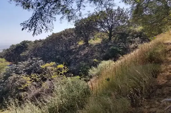 Terreno en venta en El Palomar, Tlajomulco de Zúñiga — foto 3 de 9