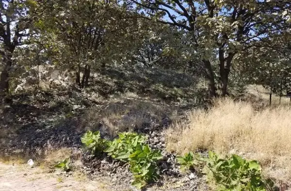 Terreno en venta en El Palomar, Tlajomulco de Zúñiga — foto 3 de 7