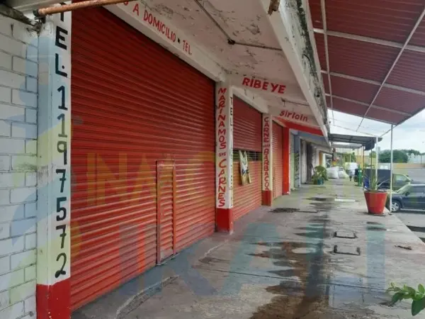 Bodega en venta en Palma Sola, Poza Rica de Hidalgo — foto 3 de 14