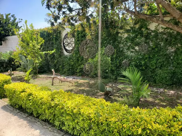 Departamento en renta en Santo Domingo, Tepoztlán — foto 3 de 18