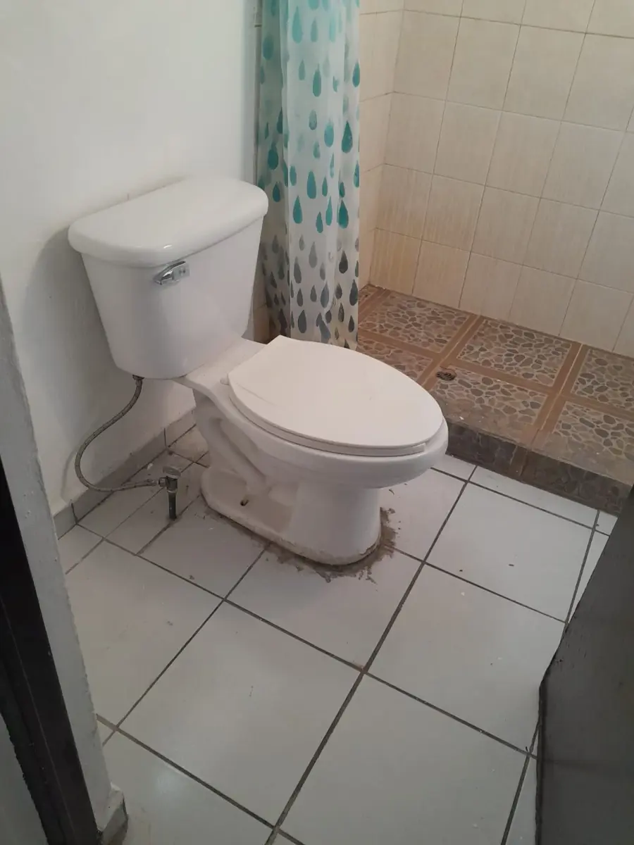 Imagen 3
