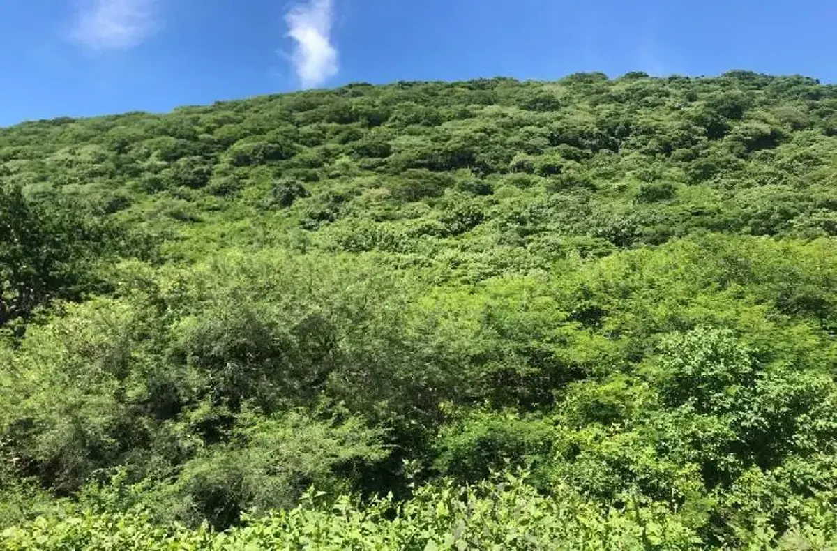 Terreno en venta en Atotonilco el Alto Centro, Atotonilco El Alto — foto 1 de 12