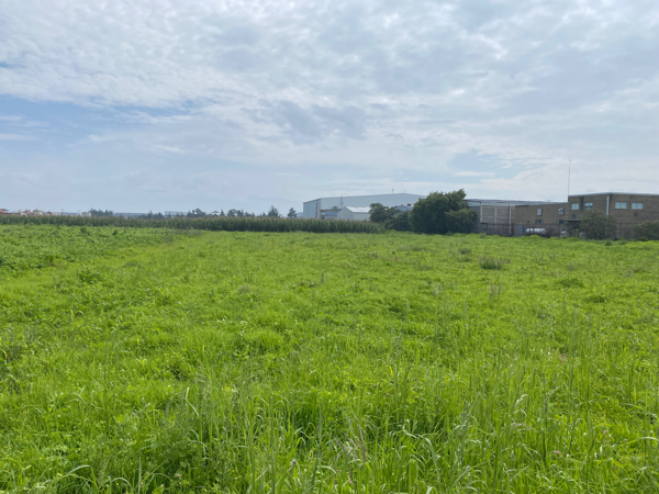 Terreno en venta en San Blas Totoltepec, Toluca — foto 2 de 4
