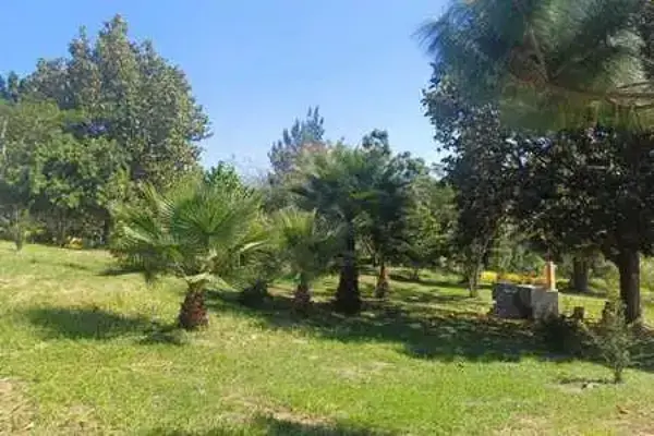 Terreno en venta en Colinas de Santa Anita, Tlajomulco de Zúñiga — foto 3 de 11