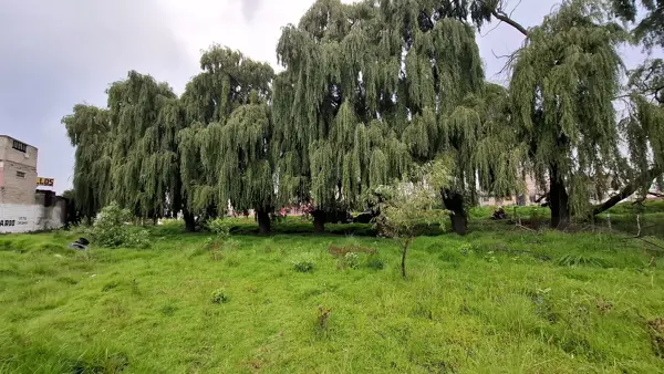 Terreno en venta en Centro Ocoyoacac, Ocoyoacac — foto 3 de 13