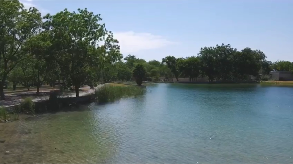 Terreno en venta en Parras de la Fuente Centro, Parras — foto 3 de 18