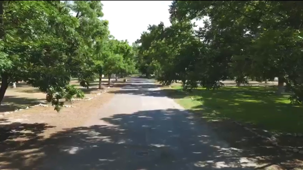 Terreno en venta en Parras de la Fuente Centro, Parras — foto 2 de 18
