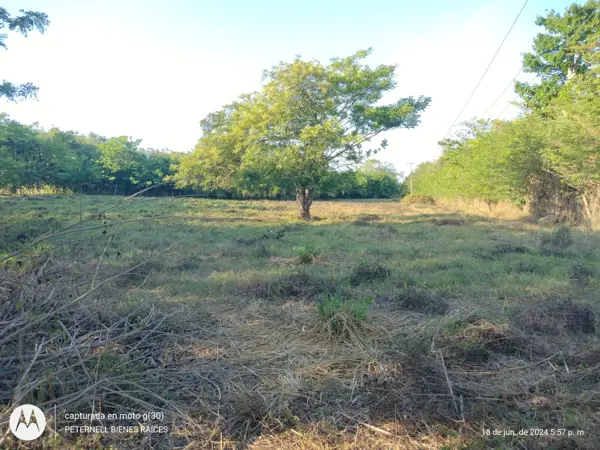 Terreno en venta en Primavera, Poza Rica de Hidalgo — foto 3 de 3