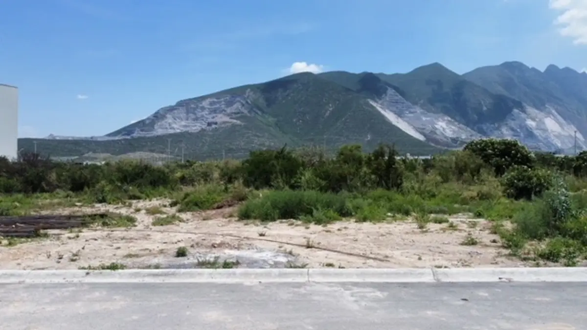 Imagen 5