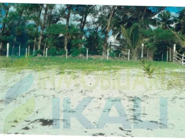 Terreno en venta en Barra Norte, Tuxpan — foto 3 de 10