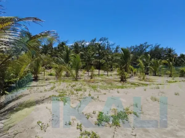 Terreno en venta en San Antonio, Tuxpan — foto 3 de 16