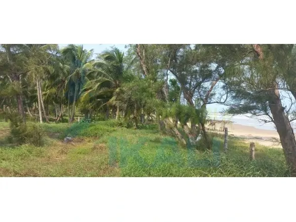 Terreno en venta en Barra Norte, Tuxpan — foto 3 de 11