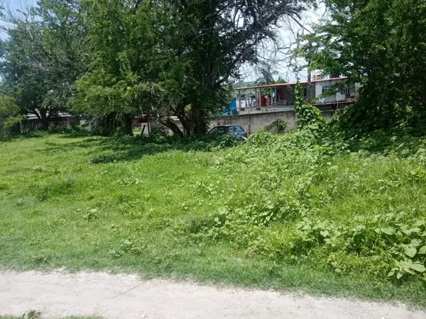 Terreno en venta en El Florido, Mazatepec — foto 3 de 17