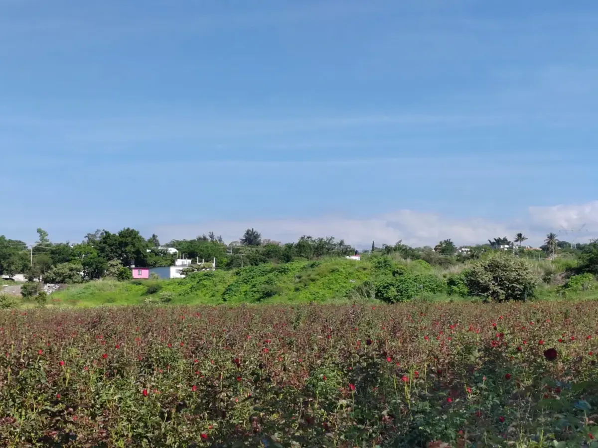 Terreno en venta en Acatlipa, Temixco — foto 1 de 9