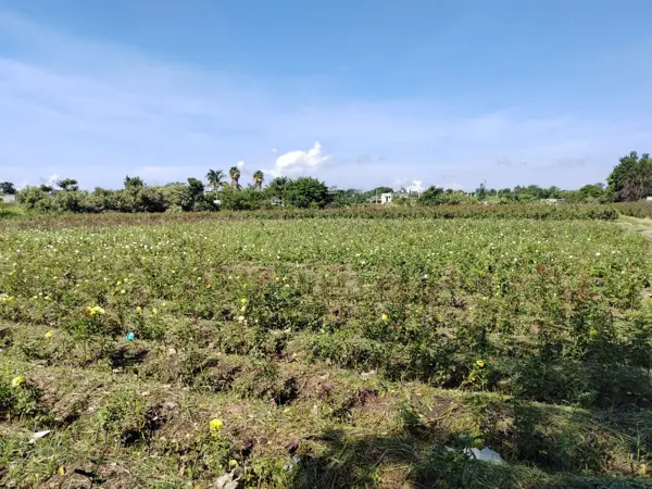 Terreno en venta en Acatlipa, Temixco — foto 3 de 8
