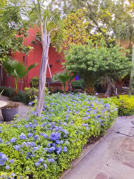 Quinta en venta en Valle del Nazas, Gómez Palacio — foto 3 de 50