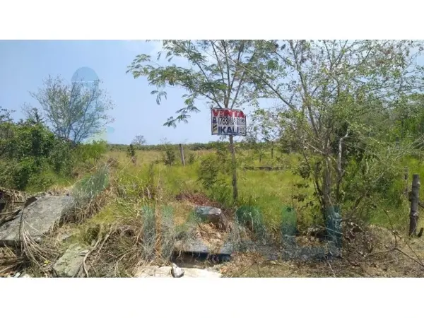 Terreno en venta en Del Puerto, Tuxpan — foto 2 de 11