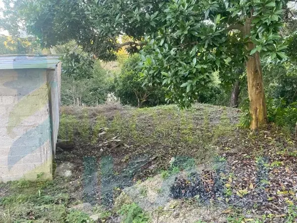 Terreno en venta en Cruz Naranjos, Tuxpan — foto 3 de 12