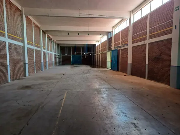 Nave en renta en Primero, Huejotzingo — foto 3 de 25