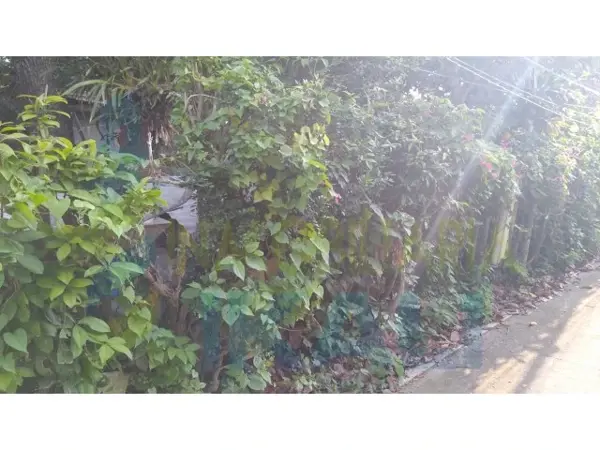 Terreno en venta en Azteca, Tuxpan — foto 2 de 10