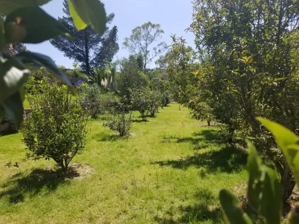 Quinta en venta en El Picacho, Amealco de Bonfil — foto 3 de 4