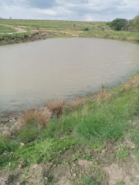 Terreno en venta en Jacal de la Piedad, Amealco de Bonfil — foto 2 de 4