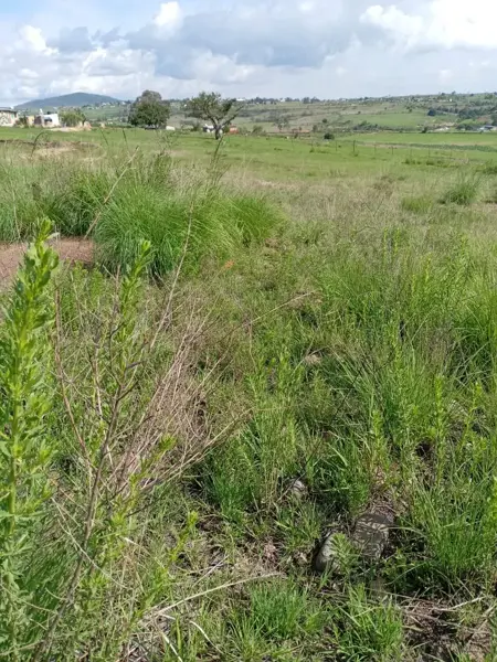 Terreno en venta en Mesillas, Amealco de Bonfil — foto 2 de 6