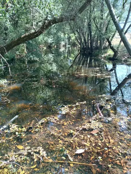 Terreno en venta en La Piní, Amealco de Bonfil — foto 2 de 4