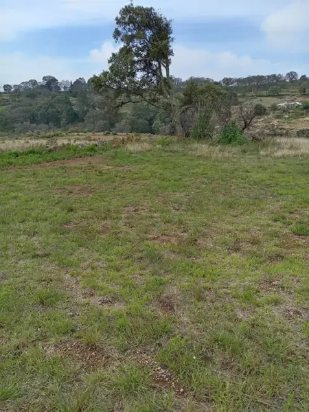 Terreno en venta en San Pedro Tenango, Amealco de Bonfil — foto 3 de 14