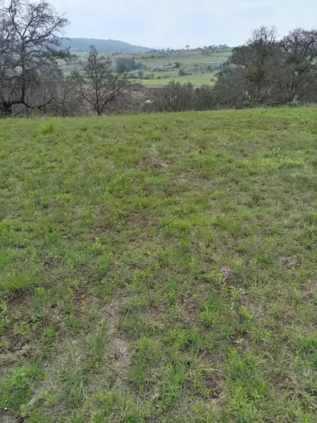 Terreno en venta en San Pedro Tenango, Amealco de Bonfil — foto 2 de 14