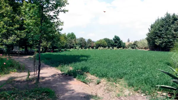 Terreno en venta en San Agustin, Comonfort — foto 3 de 8