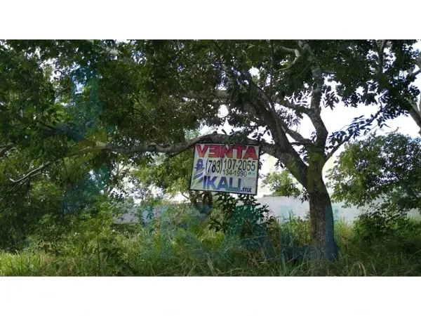 Terreno en venta en La Calzada, Tuxpan — foto 2 de 13