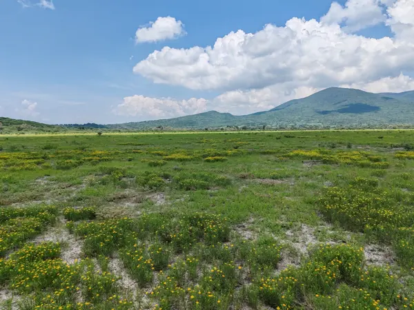 Terreno en venta en Jeruco, Cuitzeo — foto 3 de 4