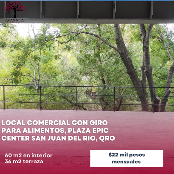 Local en renta en Centro Urbano Nuevo San Juan, San Juan del Río — foto 2 de 7