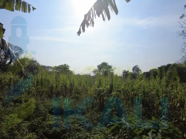Terreno en venta en La Laja de Coloman, Tuxpan — foto 3 de 10