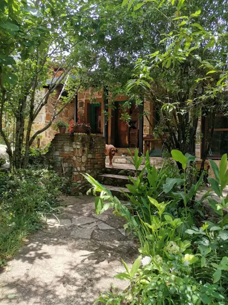 Casa en venta en La Cañada, San Cristóbal de las Casas — foto 3 de 19